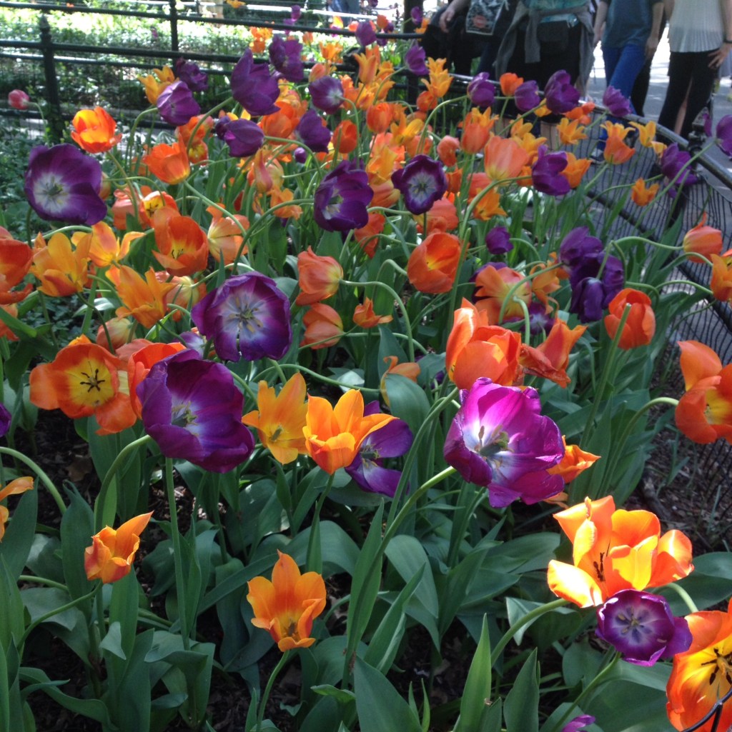 Is it spring yet?! Let me help you with&nbsp;that.